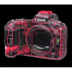 Hot EOS R5 Mark II Mirrorless Digital Camera with 24-105mm f/4L Lens Mirrorless