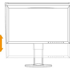 Hot ColorEdge CG319X 31.1 in. 17:9 Hardware Calibration IPS Monitor Video Monitors Viewfinders