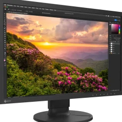 Discount ColorEdge CS2400S 24.1 in. Monitor Video Monitors Viewfinders