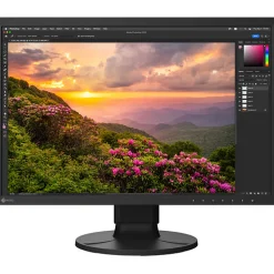 Discount ColorEdge CS2400S 24.1 in. Monitor Video Monitors Viewfinders
