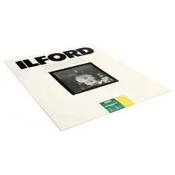 Clearance Multigrade FB Classic Matte VC Paper (16 x 20 In., 10 Sheets) Enlarging Paper