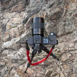 Best Super-APO-Summicron-SL 21mm f/2.0 ASPH. Lens Wide Angle