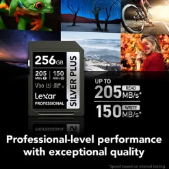 Outlet 256GB Professional SILVER PLUS UHS-I SDXC Memory Card Memory Cards|Memory Cards