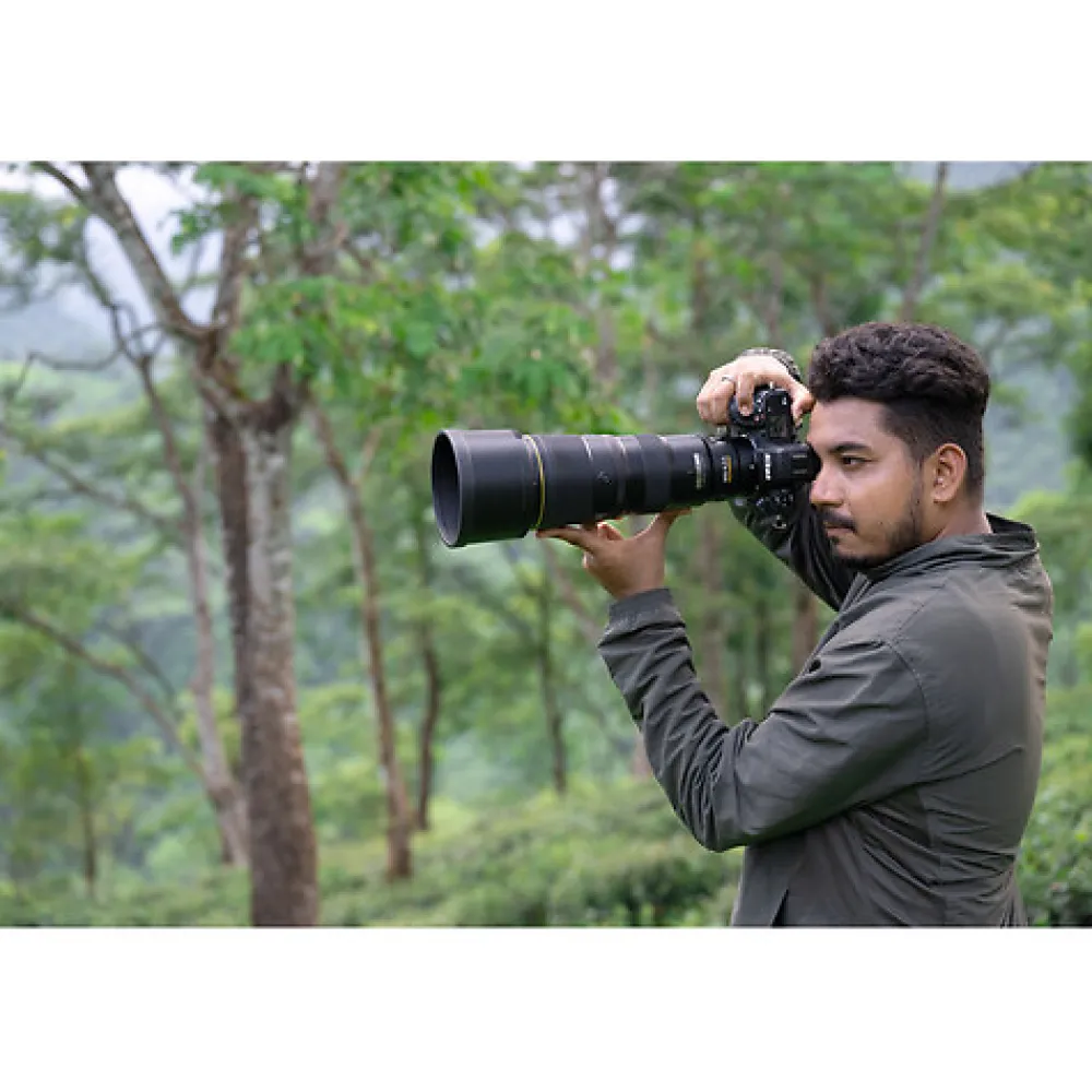 Best NIKKOR Z 600mm f/6.3 VR S Lens Telephoto Lenses