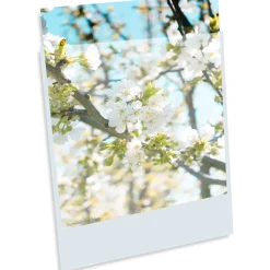 Clearance 20 x 24 in. 3.2 mil BOPP Presentation Pocket (100 Pack) Portfolios Archival Storage