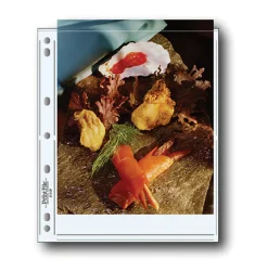 Online Archival Photo Pages Holds Two 8.5 x 11in. Prints - 100 Portfolios Archival Storage