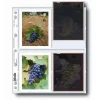 Clearance 45-4BPOL Negative Pages (Pack of 100) Portfolios Archival Storage