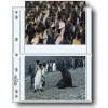 Hot 57-4P 5x7in. Photo Pages (100 pack) Portfolios Archival Storage
