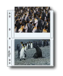 Hot 57-4P 5x7in. Photo Pages (100 pack) Portfolios Archival Storage