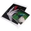 Outlet 5x7 In. Clear Bags (Package of 100) Portfolios Archival Storage