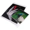 Sale 11x14 In. Clear Bags (Package of 100) Portfolios Archival Storage