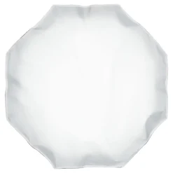 New 24 In. OCF Beauty Dish (Silver) Octagonal Soft Boxes