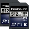 Clearance 512GB UHS-II SDXC Iridium Memory Card (2-Pack) Memory Cards|Memory Cards