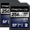 Clearance 256GB UHS-II SDXC Iridium Memory Card (2-Pack) Memory Cards|Memory Cards