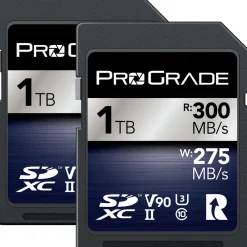 Outlet 1TB UHS-II SDXC Iridium Memory Card (2-Pack) Memory Cards|Memory Cards