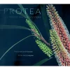 Clearance PROTEA: The Magic and the Mystery - Hardcover Book Books