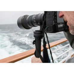 Best Wild Iron Squish Horizon Correction Camera Head Tripod Accessories