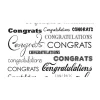 New 53 in. x 18 ft. Printed Background Paper (Congratulations) Paper Backgrounds
