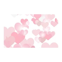 Fashion 53 in. x 18 ft. Printed Background Paper (Love Burst) Paper Backgrounds