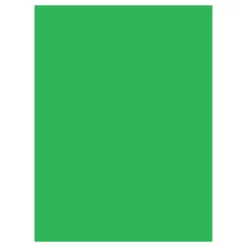 Best 10 x 20 ft. Infinity Lint Free Pro Cloth Background (ProChroma Green) Chroma Key Backgrounds