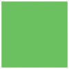 Hot 10 x 24' Solid Muslin Background (Chroma Green) Chroma Key Backgrounds