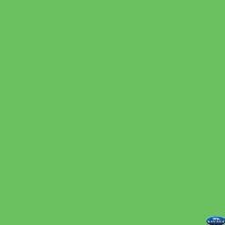 Discount 10 x 12' Solid Muslin Background (Chroma Green) Chroma Key Backgrounds
