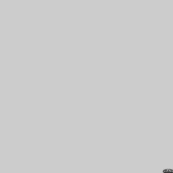 Hot 107" x 12yds Background Paper (#60 Focus Gray) Paper Backgrounds