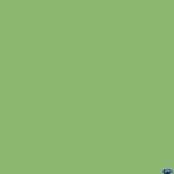 Hot 107" x 12yds Background Paper (#46 Tech Green) Paper Backgrounds