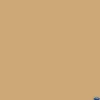 Sale 107" x 12yds Background Paper (#79 Almond) Paper Backgrounds