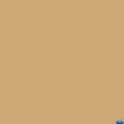 Sale 107" x 12yds Background Paper (#79 Almond) Paper Backgrounds