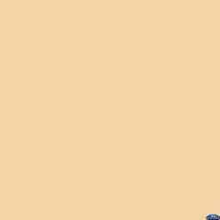Online 53" x 12yds Background Paper (#25 Beige) Paper Backgrounds