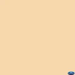 Best 107" x 12yds Background Paper (#25 Beige) Paper Backgrounds