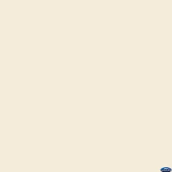 Best 53" x 12yds Background Paper (#51 Bone) Paper Backgrounds