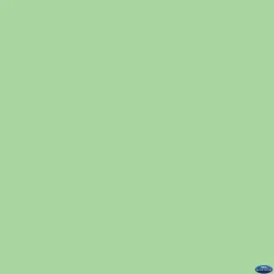 Outlet 107" x 12yds Background Paper (#40 Mint Green) Paper Backgrounds