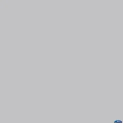 Online 107" x 12yds Background Paper (#57 Gray Tint) Paper Backgrounds