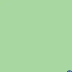 Outlet 53" x 12yds Background Paper (#40 Mint Green) Paper Backgrounds