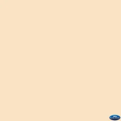 Best 107" x 12yds Background Paper (#19 Egg Nog) Paper Backgrounds