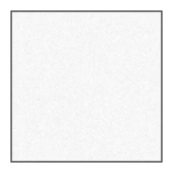 New Heavy Weight Translum Backdrop (54" x 18') Paper Backgrounds