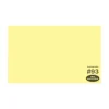 Hot Widetone Seamless Background Paper (#93 Lemonade, 107 In. x 36 ft.) Paper Backgrounds