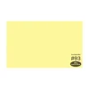 Outlet Widetone Seamless Background Paper (#93 Lemonade, 53 In. x 36 ft.) Paper Backgrounds
