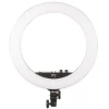 Clearance 17 in. Bi-Color LED Ring Light Led Lights & Kits|Led Ring Lights