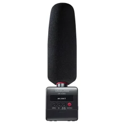 Sale DR-10SG Camera-Mountable Audio Recorder with Shotgun Microphone Digital Audio Recorders|Microphones