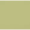 Outlet 8 x 8 ft. Wrinkle-Resistant Backdrop (Light Moss Green) Fabric Backgrounds
