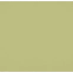 Outlet 8 x 8 ft. Wrinkle-Resistant Backdrop (Light Moss Green) Fabric Backgrounds