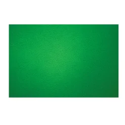 Discount Digital Background (9 x 10 ft., Chroma Green) Chroma Key Backgrounds
